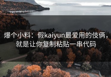 爆个小料：假kaiyun最爱用的伎俩，就是让你复制粘贴一串代码