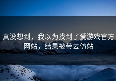 真没想到，我以为找到了爱游戏官方网站，结果被带去仿站