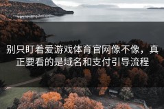 别只盯着爱游戏体育官网像不像，真正要看的是域名和支付引导流程