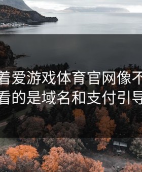 别只盯着爱游戏体育官网像不像，真正要看的是域名和支付引导流程