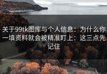 关于99tk图库与个人信息：为什么你一填资料就会被精准盯上：这三点先记住