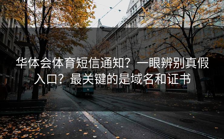华体会体育短信通知？一眼辨别真假入口？最关键的是域名和证书