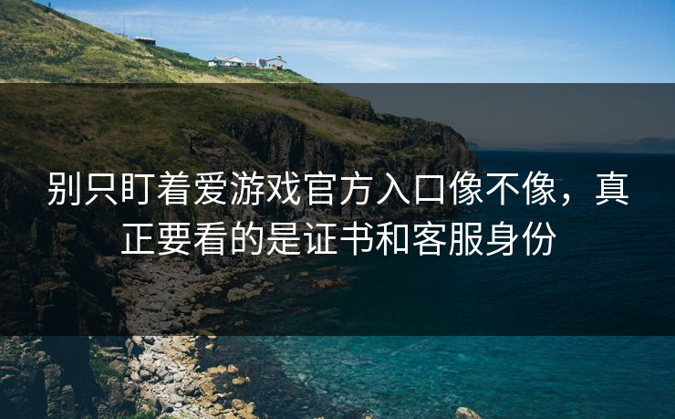别只盯着爱游戏官方入口像不像，真正要看的是证书和客服身份