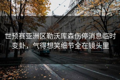 世预赛亚洲区勒沃库森伤停消息临时变卦，气得想笑细节全在镜头里
