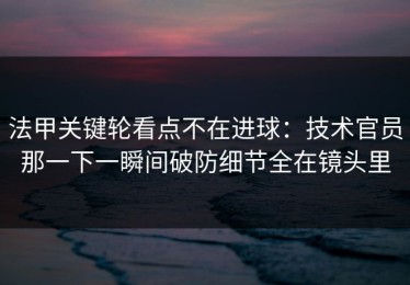 法甲关键轮看点不在进球：技术官员那一下一瞬间破防细节全在镜头里