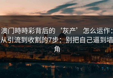 澳门時時彩背后的‘灰产’怎么运作：从引流到收割的7步：别把自己逼到墙角